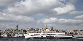 İki yakanın kedisi