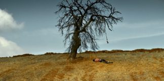 Reflections (1) on Nuri Bilge Ceylan’s “Ahlat Ağacı” (The Wild Pear Tree)