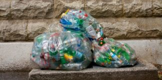 Plastikle beslenen bakteri türü keşfedildi