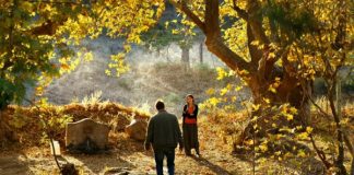 Initial reflections (2) on Nuri Bilge Ceylan’s “Ahlat Ağacı” (The Wild Pear Tree)