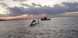 Van Gölü mülteciler için nasıl Ege Denizi’ne döndü?