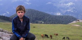 ANALİZ – Eren Bülbül ve ‘şehadet’ üzerinden ölümün kutsanması