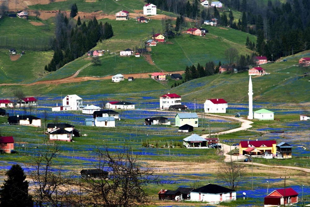 Corona virüs nedeniyle 'Mor Yayla'ya ziyaretçi yasağı | NTV