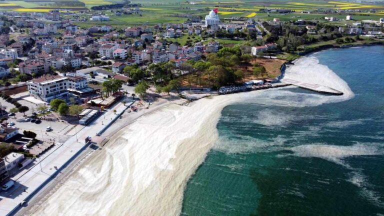 Marmara denizinde ne oluyor?