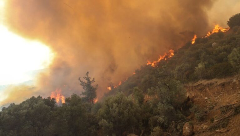 Yangınlar, ‘sabotaj’ hikâyeleri ve sosyal medya harareti aynı anda söndü