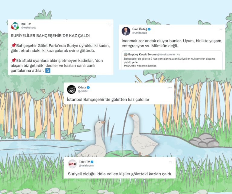 “Suriyeliler göletten kaz çaldı” iddiası: Emniyet: “Kendi kazları, gölete bırakmak istediler, ikaz üzerine alıp gittiler”