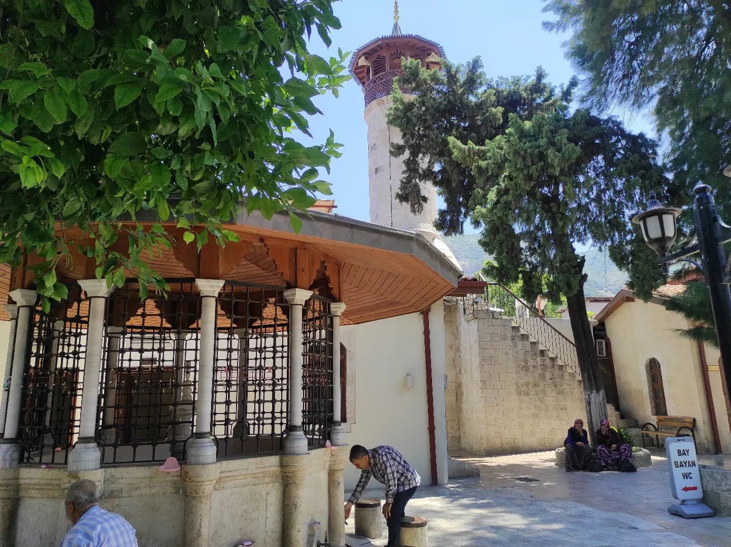 ağaç, dış mekan içeren bir resim
Açıklama otomatik olarak oluşturuldu