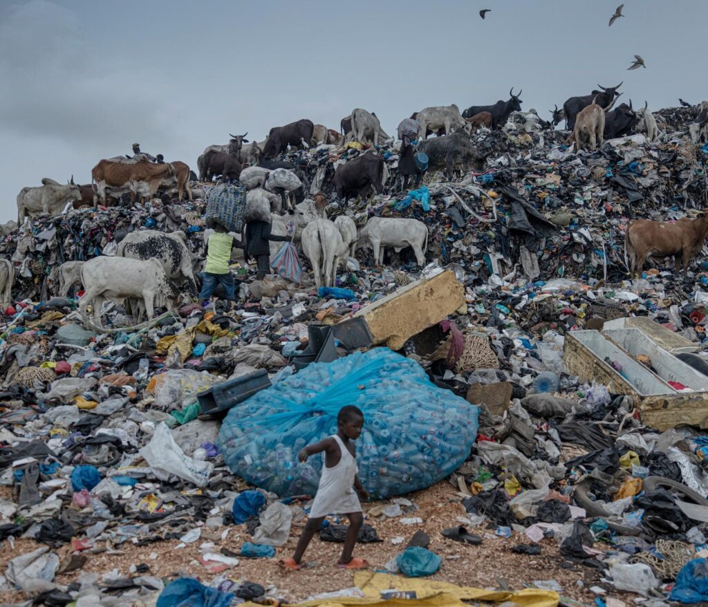 Gana. Fotoğraf: Magnus Wennman.