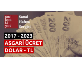 SANAL HAFIZA SERGİSİ I Asgari ücret: 2017-2023, TL-Dolar