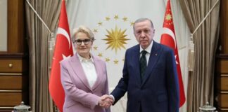 Cumhurbaşkanı Erdoğan ile görüşen Meral Akşener, yeni anayasa sürecinde rol alabilir mi?