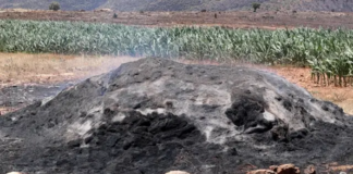 Savcılık ön raporu: “Diyarbakır-Mardin yangını elektrik kaynaklı.” DEDAŞ, köylüleri yalanlayan açıklama yapmıştı