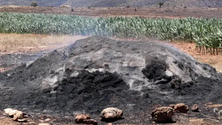 Savcılık ön raporu: “Diyarbakır-Mardin yangını elektrik kaynaklı.” DEDAŞ, köylüleri yalanlayan açıklama yapmıştı