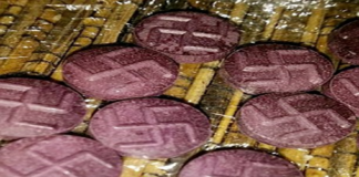 Avrupa’da güçlenen aşırı sağ gençliğin yeni modası: “Eksnazi”