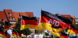 Almanya’da iki eyalette sandıktan AfD çıktı