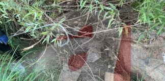 Narin’in cansız bedeninin konulduğu çuvalın Nevzat Bahtiyar’ın evinden çıktığı kesinleşti