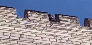 Belki de çürümüyoruz, yeşeriyoruz