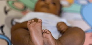 Michelle Nwando Opara’ya ne oldu?