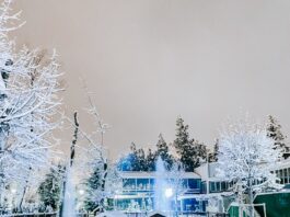 FOTO HABER | Ankara beyaza boyandı…