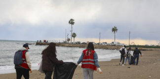 Mersin Büyükşehir’den çevre farkındalığı etkinliği: Gençler sahili temizledi