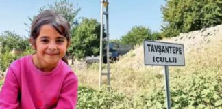 ÖZEL HABER | Narin Davası’nda Mahkeme’nin istediği “daraltılmış baz” ek raporuna Serbestiyet ulaştı