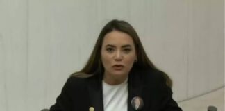 İYİ Partili Ayyüce Türkeş’in ‘Kürtçe’ hakkında sözlerine suç duyurusu