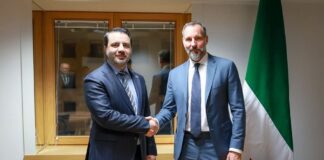 Şam hükümeti Şii azınlık lideriyle görüştü