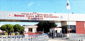 Öngörülebilirlik için siyaset