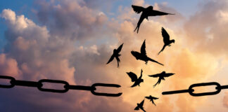 Şizofrenik yurttaşlık