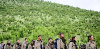 Adnan Boynukara: Silah bırakma ve siyasetinin dönüşümü