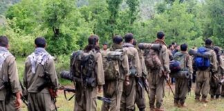 Süreç nasıl devam edecek? “MİT, Temmuz’a kadar silah bırakmayı kontrol edecek; sonra Demokratik Dönüşüm süreci başlayacak”