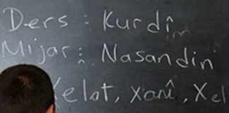 Kürtçe seçmeli ders 60 bin öğrenciyle rekor kırdı: “DEM Parti destek verse 500 bin öğrenci seçerdi”