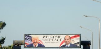 Bir Amerikan şaklabanlığı; Ateşkes