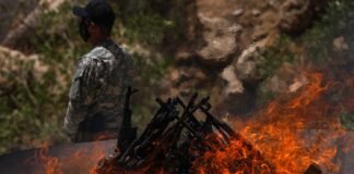 Bir sürecin anatomisi