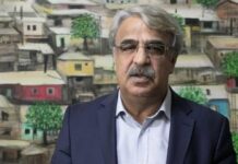 “MHP ve AKP’de komisyonun bir heyetle Ada’ya gitmesine karşı çıkış yok”