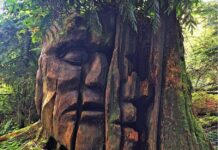 Serbestiyet kanalında yeni seri. “Etyen Mahçupyan’la Öteki Hikaye”: Animistler mi haklı çıktı?