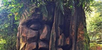 Serbestiyet kanalında yeni seri. “Etyen Mahçupyan’la Öteki Hikaye”: Animistler mi haklı çıktı?