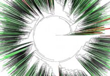 Evrim bir Din midir?