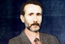 ‘Sahte Yeşil’in ifadesi: Gözlerimi bağlayıp bir yere götürdüler; Yılmaz Özdil, Emin Çölaşan ve Saygı Öztürk beni sorguladı