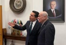 Ahmet Özer, Devlet Bahçeli ve değişim