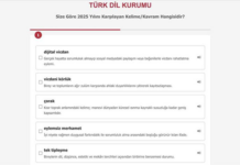 TDK, 2025 yılının kelimesi için beş kavramı oylamaya açtı: Resmi ve didaktik bir liste