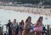 Syndey’de Pakistanlı Hanuka katliamcısını Ahmed isimli manav engelledi: En az 13 ölü