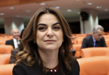 DEM Partili Koçyiğit: “Şamil Tayyar’ın yazdıkları tamamen yalan bilgi, birilerinin ona söylediğini düşünüyorum”