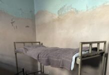 Müzelik bir müzede bir gece…