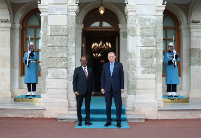 WhatsApp Image 2025-12-30 at 17.13.36