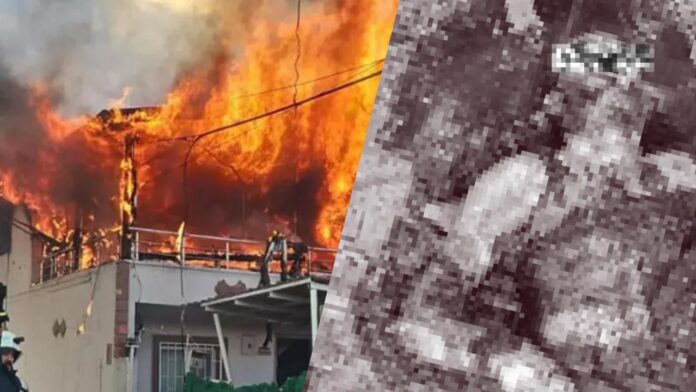 WhatsApp Image 2025-12-30 at 17.23.07