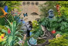 İnsan evrimden muaf olabilir mi?