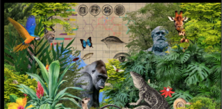 İnsan evrimden muaf olabilir mi?