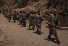 1000 PKK’lı dönüş yolunda mı? “İlk etapta Diyarbakır annelerinin çocukları”