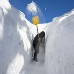 Isınan dünyada neden bu kadar çok kar yağıyor?