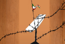 Dünyada ilk: İran, Starlink bağlantısını nasıl kesti?